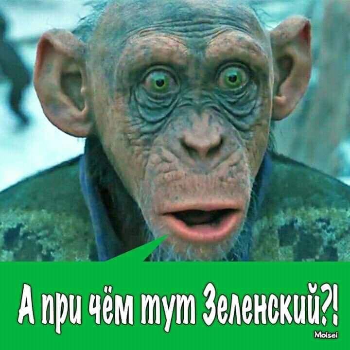 Ryanair призупиняє 70% рейсів із Києва - Цензор.НЕТ 9332