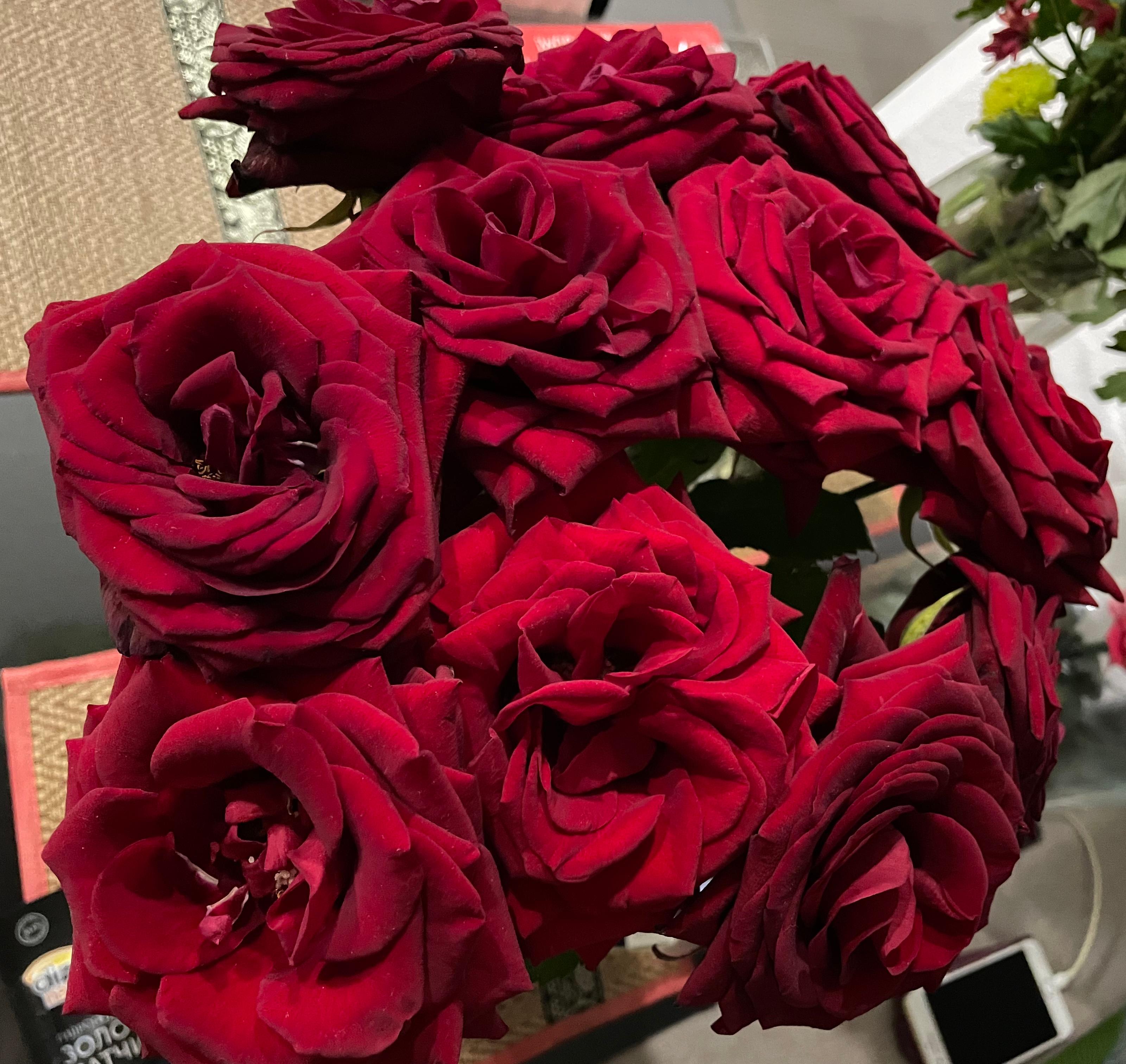 Роза вам доставка цветов москва отзывы букет 5 красных роз